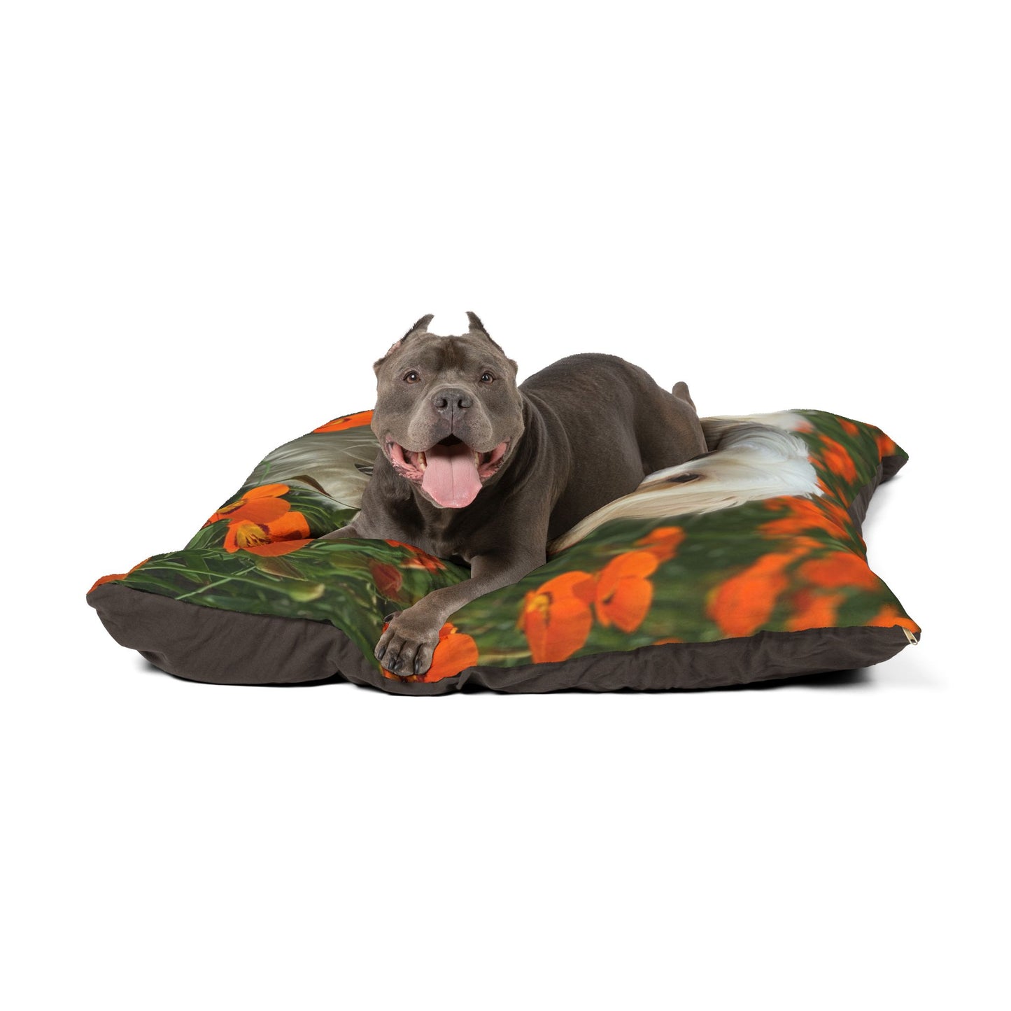 Havanese Pet Bed