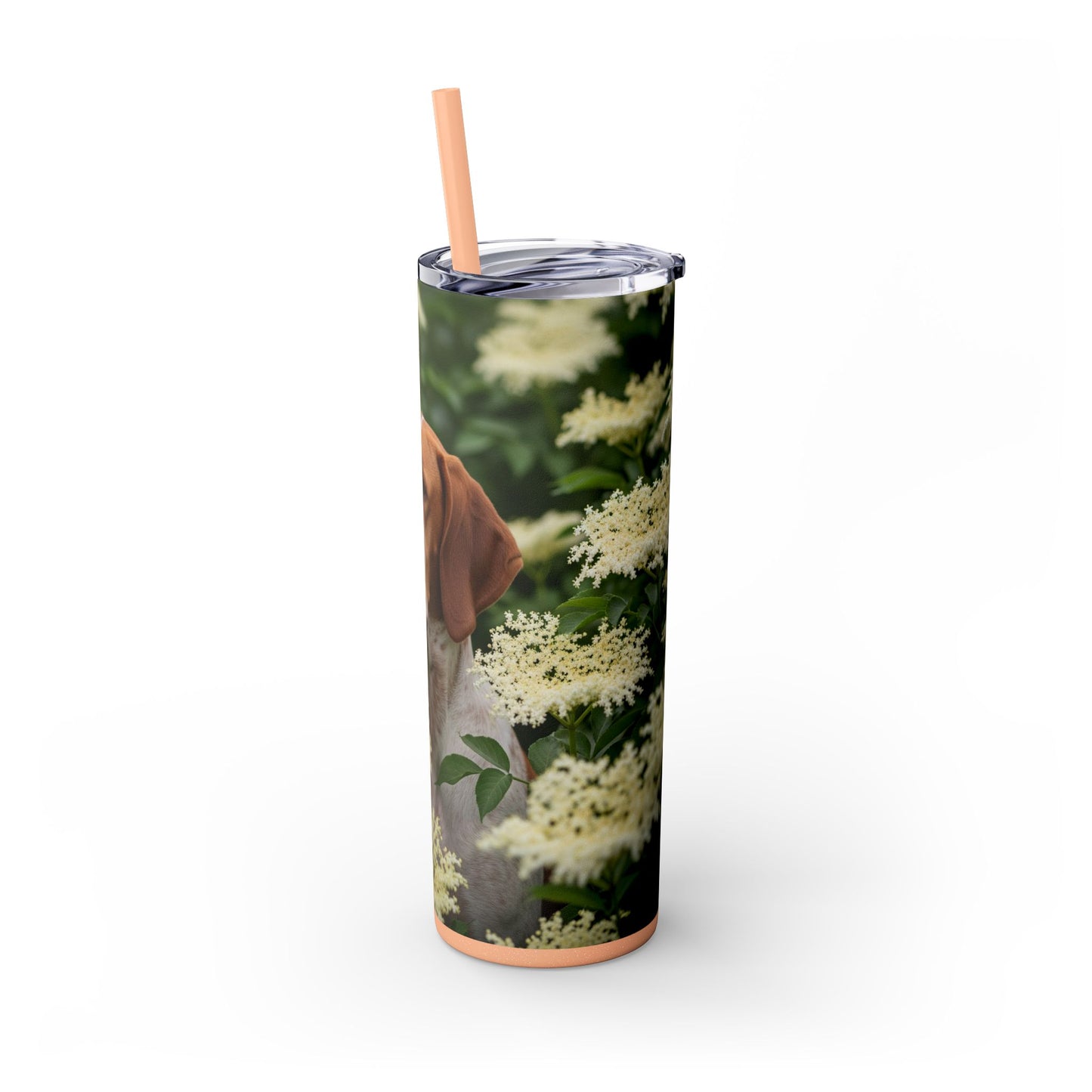 Braque St. Germain Tumbler with Straw, 20oz