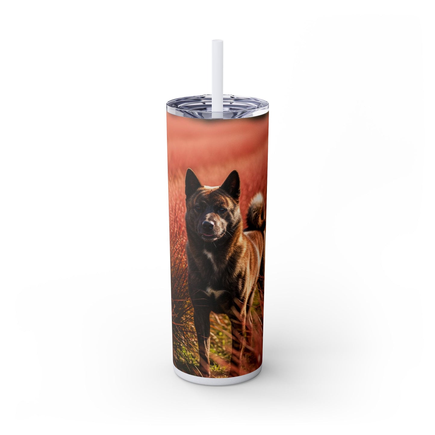 Kai Ken Tumbler with Straw, 20oz