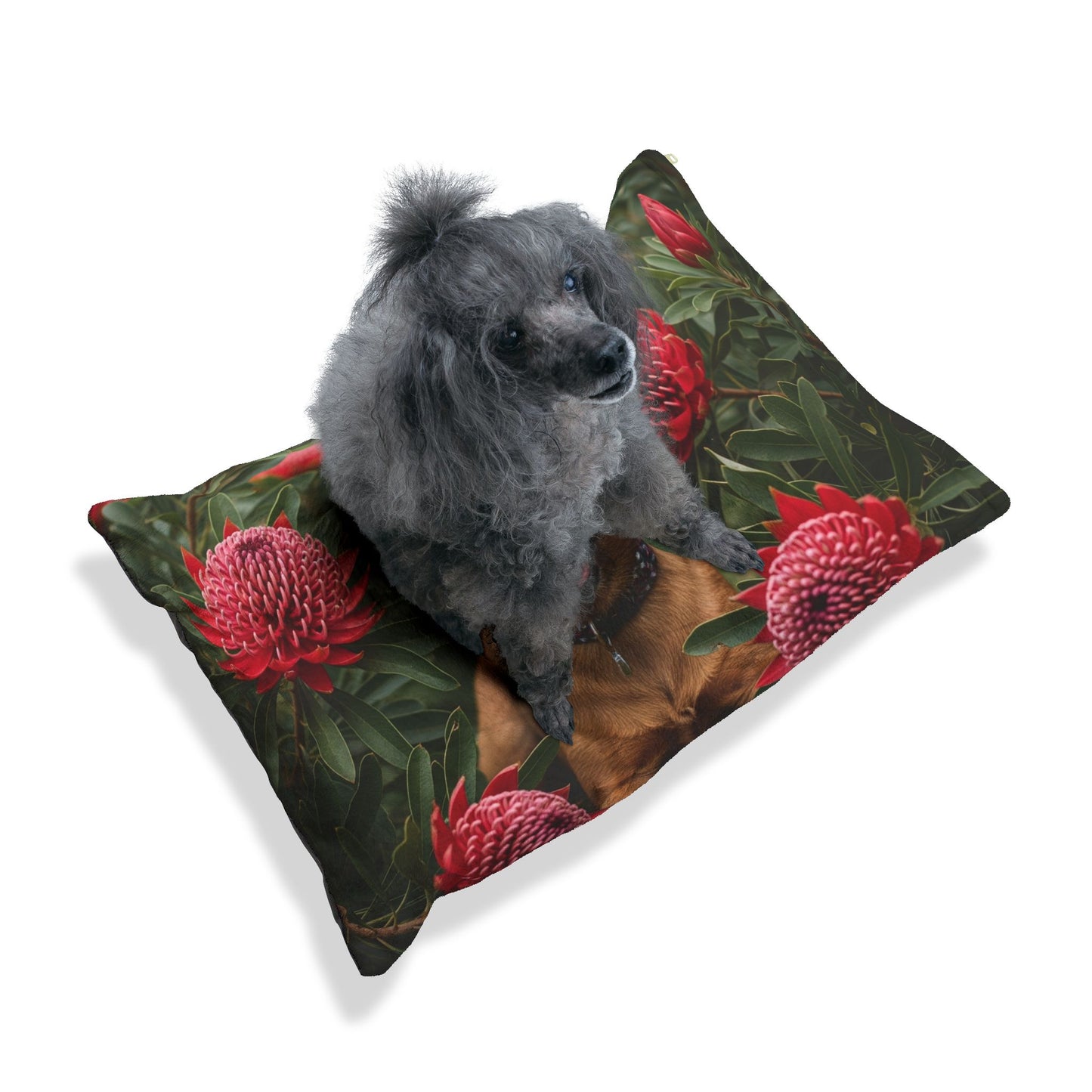 Australian Terrier Pet Bed