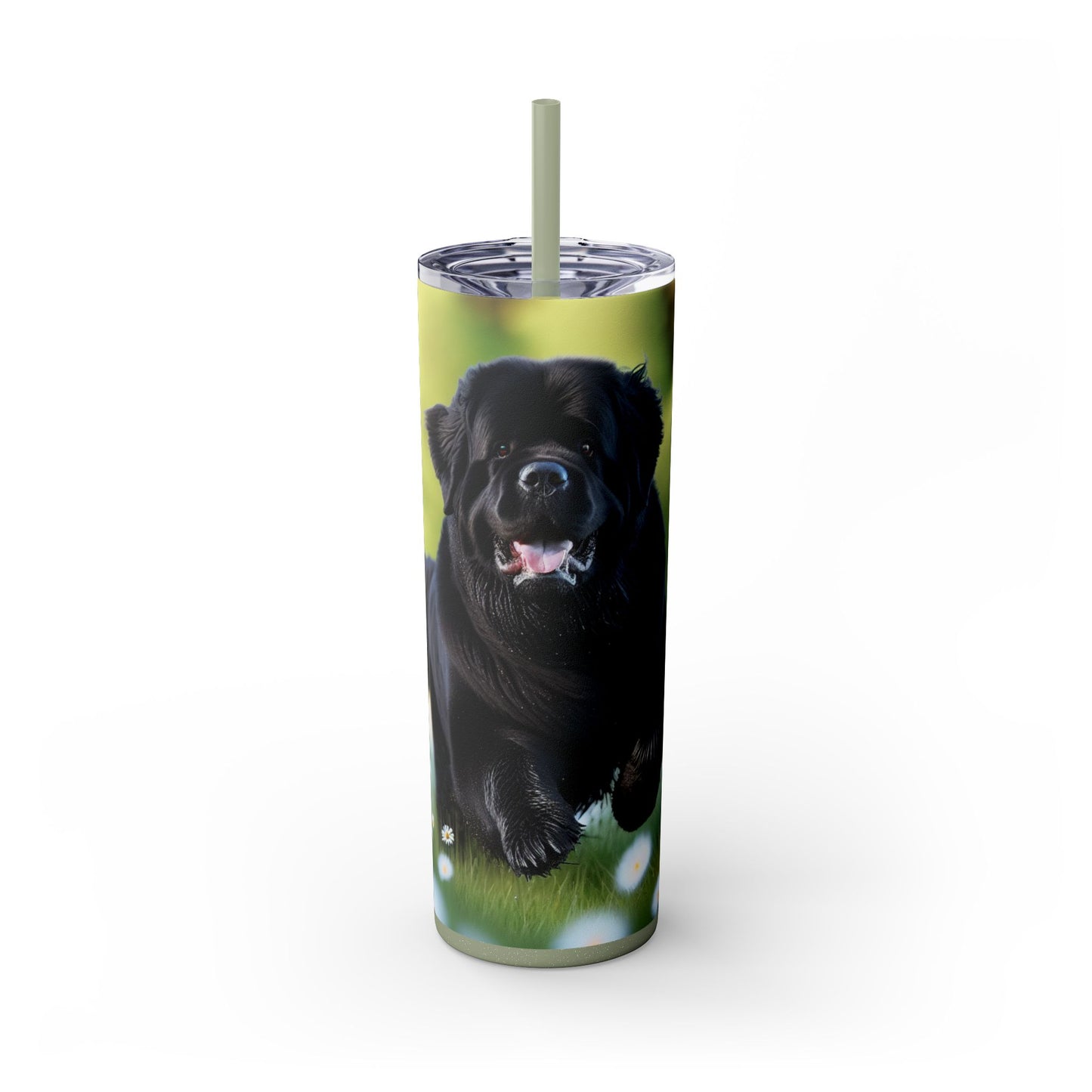 Newfoundland Skinny Tumbler with Straw, 20oz