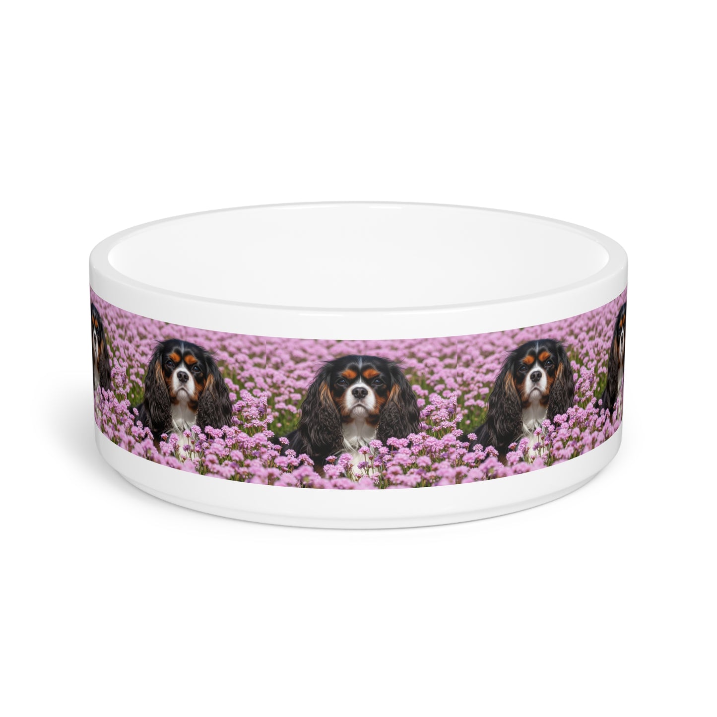 King Charles Spaniel Pet Bowl