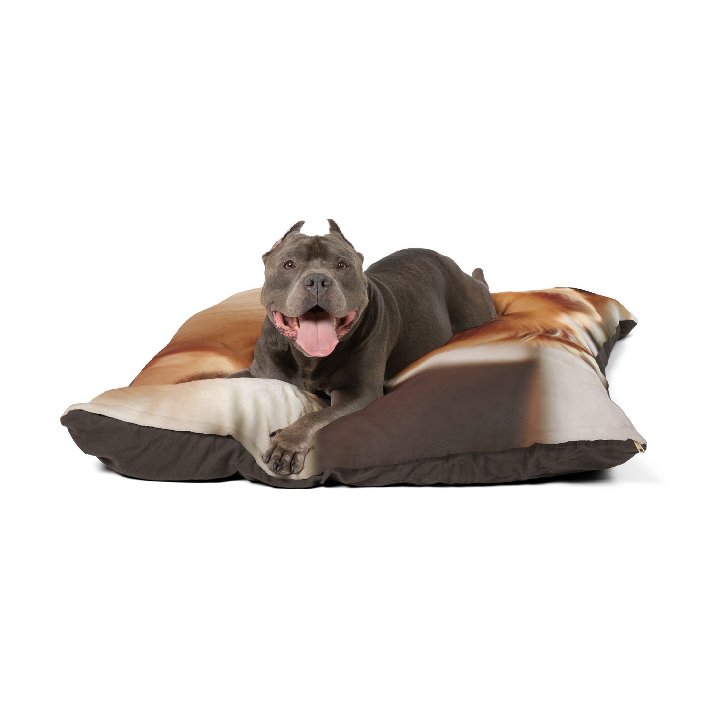 German Spitz Pet Bed