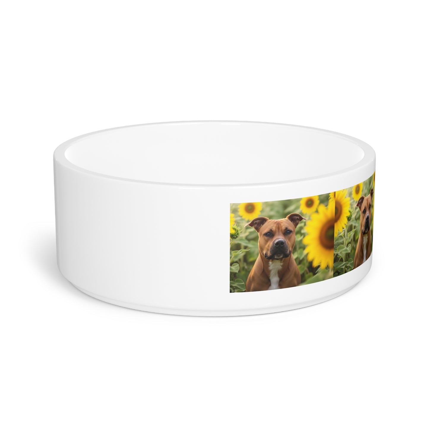 American Staffordshire Terrier Pet Bowl