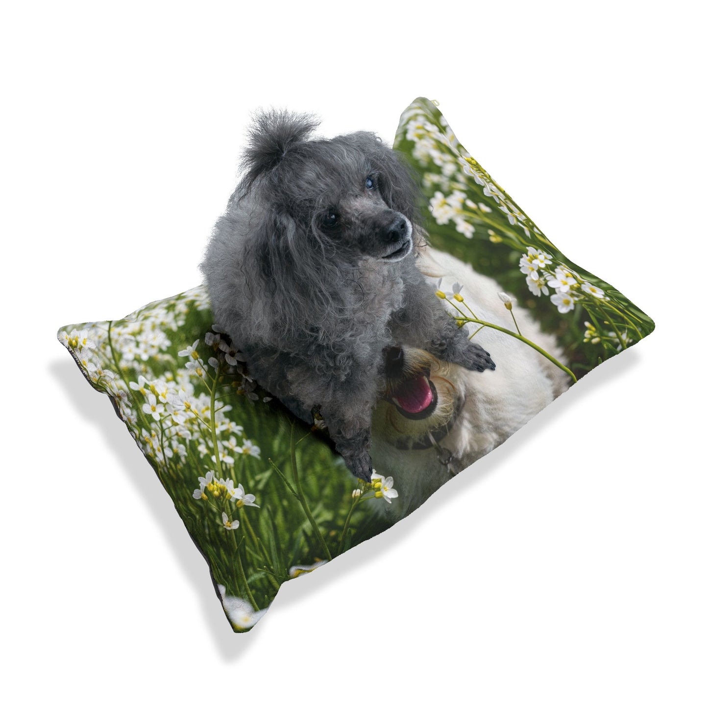 Kromfohrlander Pet Bed