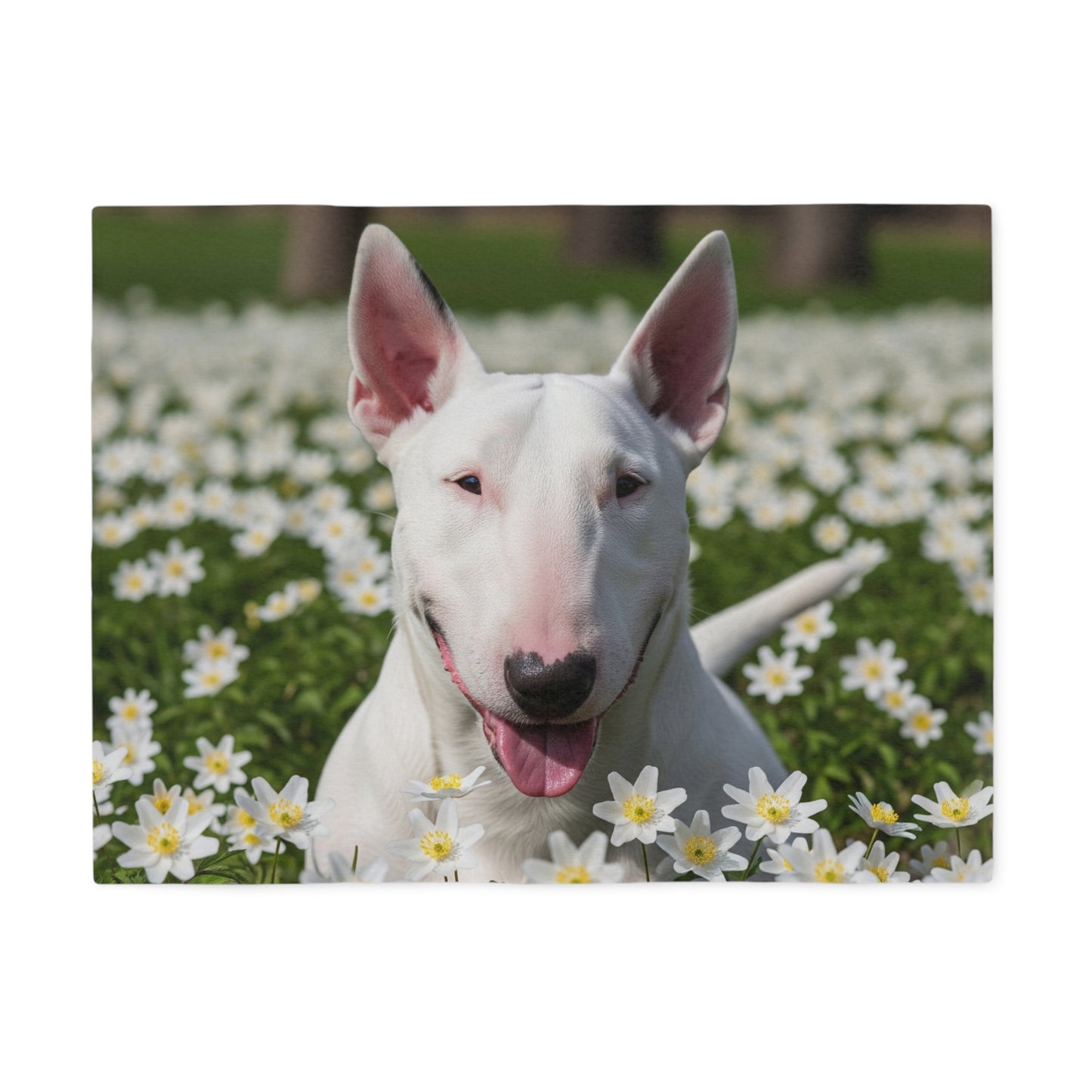 Bull Terrier Sweatshirt Blanket