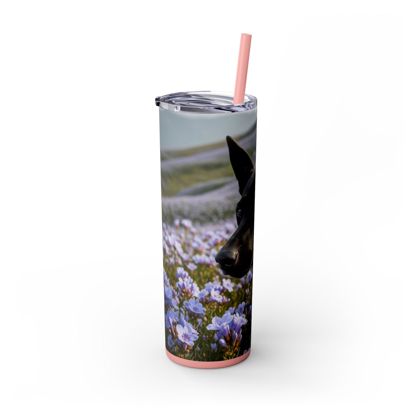 Kanni Tumbler with Straw, 20oz