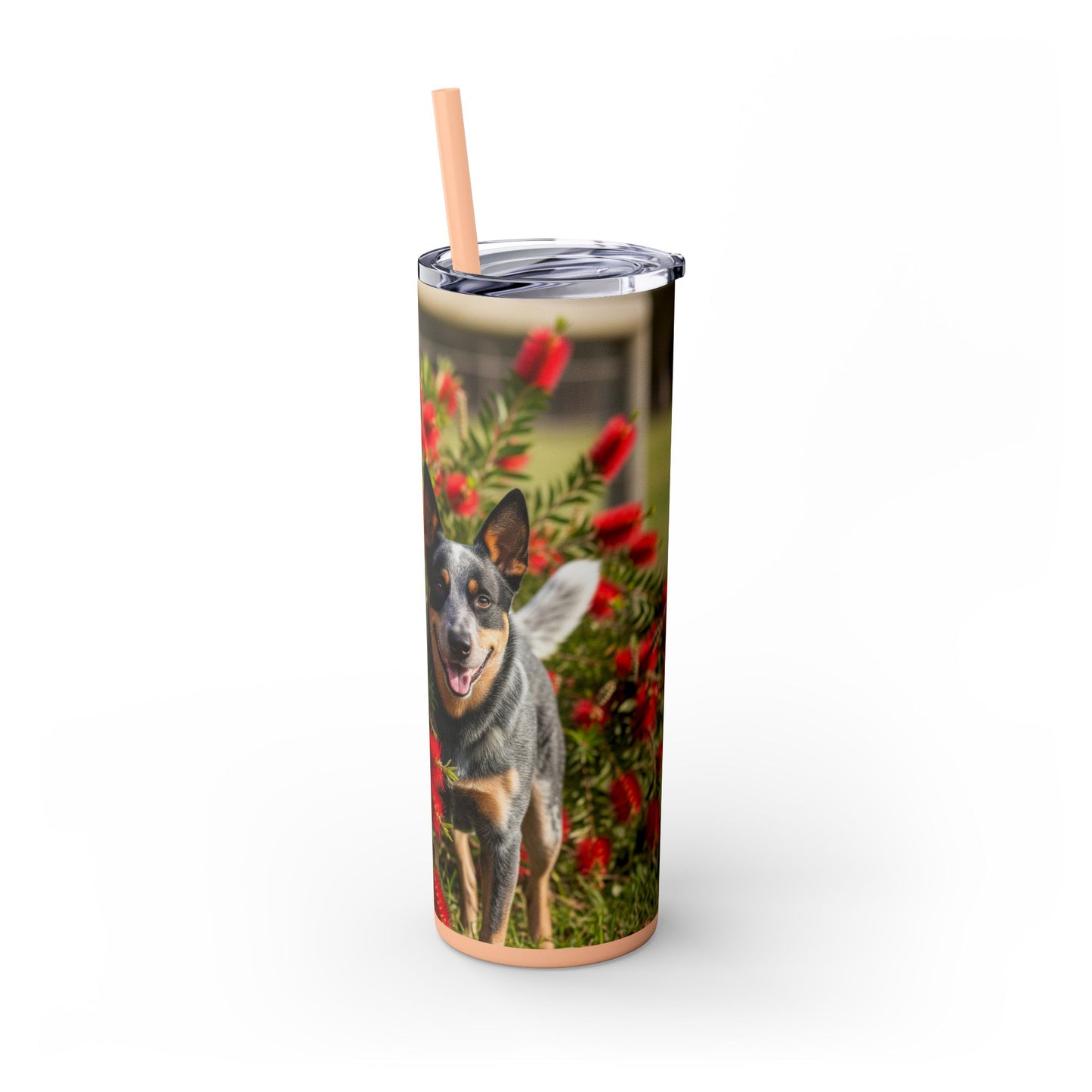 Australian Cattle Dog Skinny Tumbler with Straw, 20oz