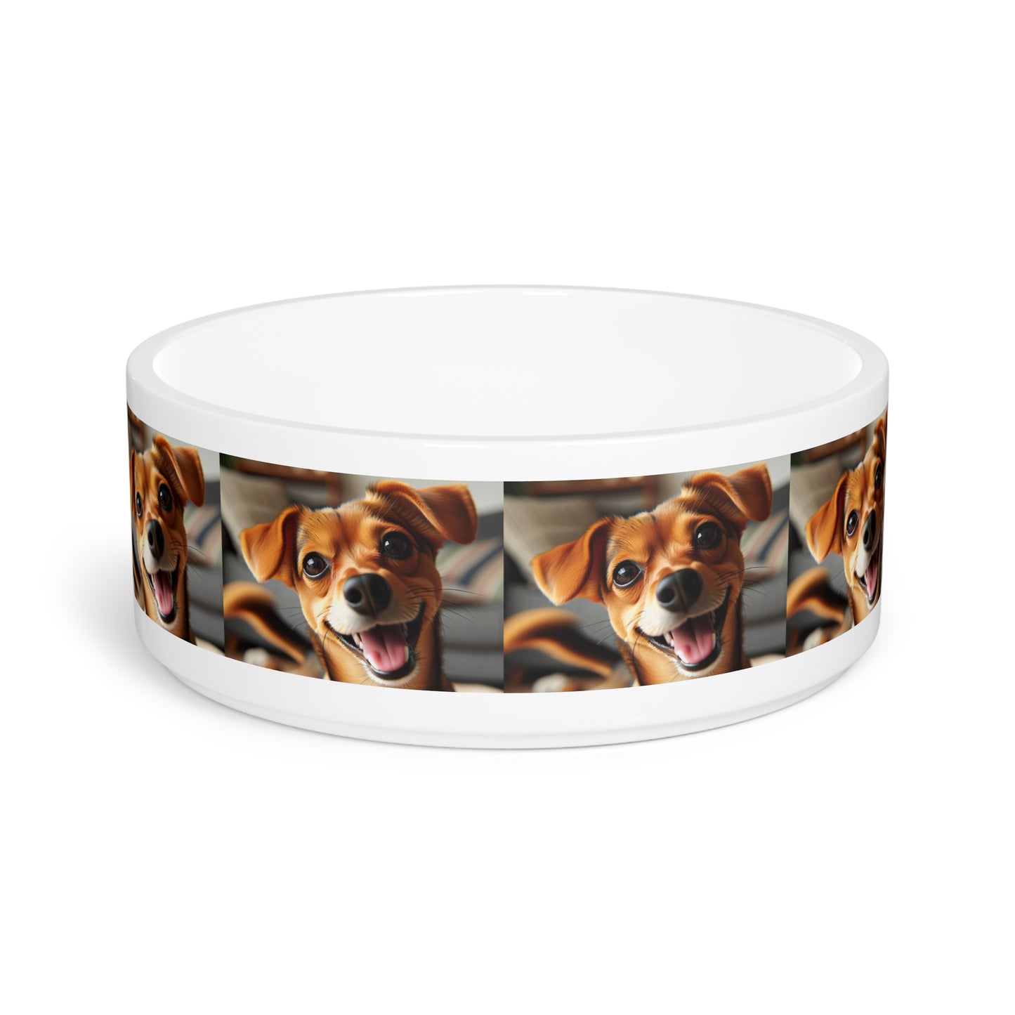 Chiweenie Pet Bowl
