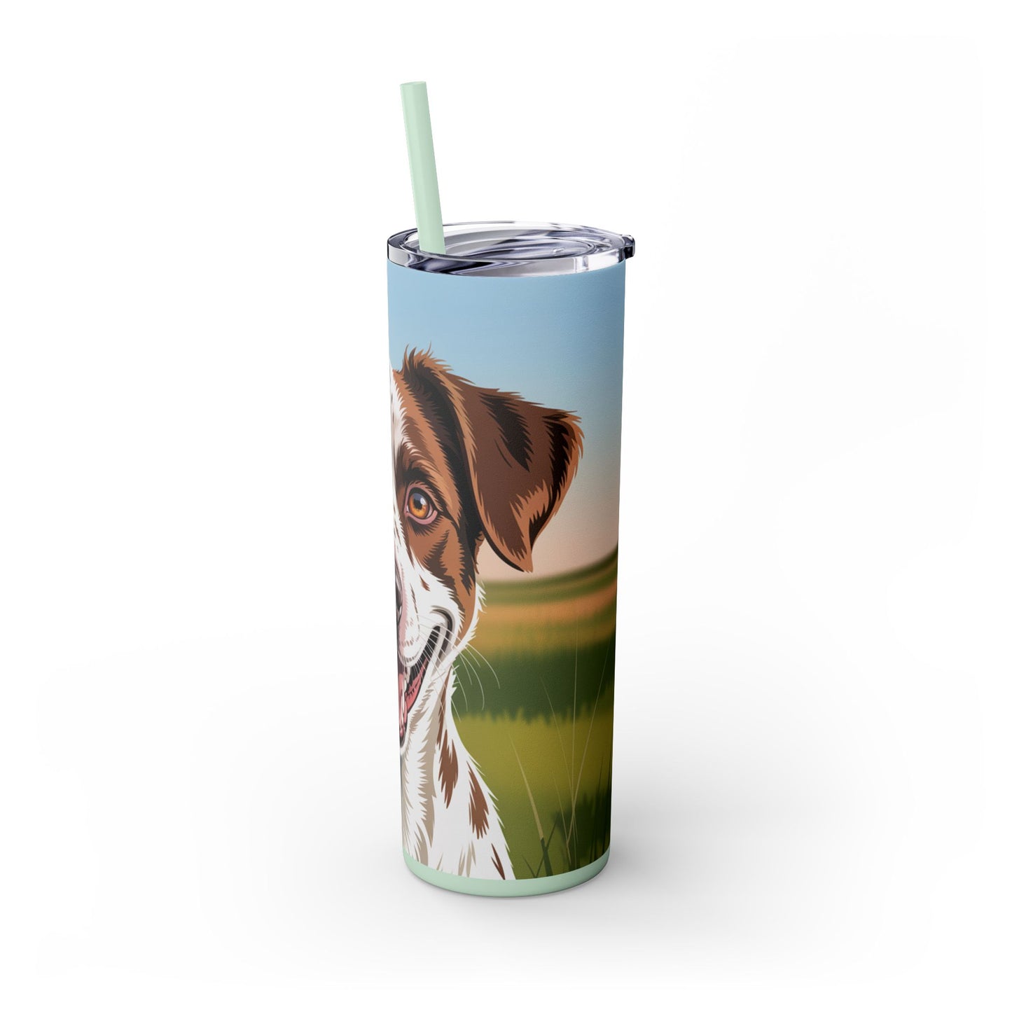 Telomian Skinny Tumbler with Straw, 20oz