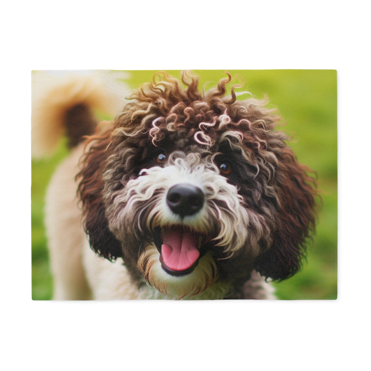 Spanish Water Dog Sweatshirt Blanket
