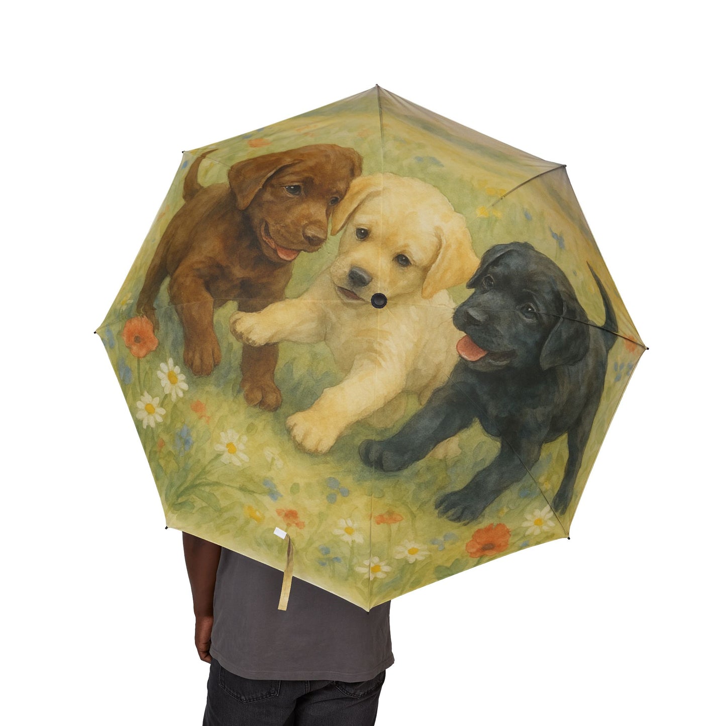 Labrador Retriever puppies Semi-Automatic Foldable Umbrella