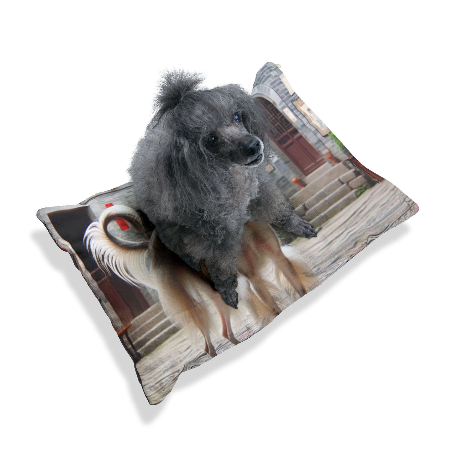 Chinese Saluki Pet Bed