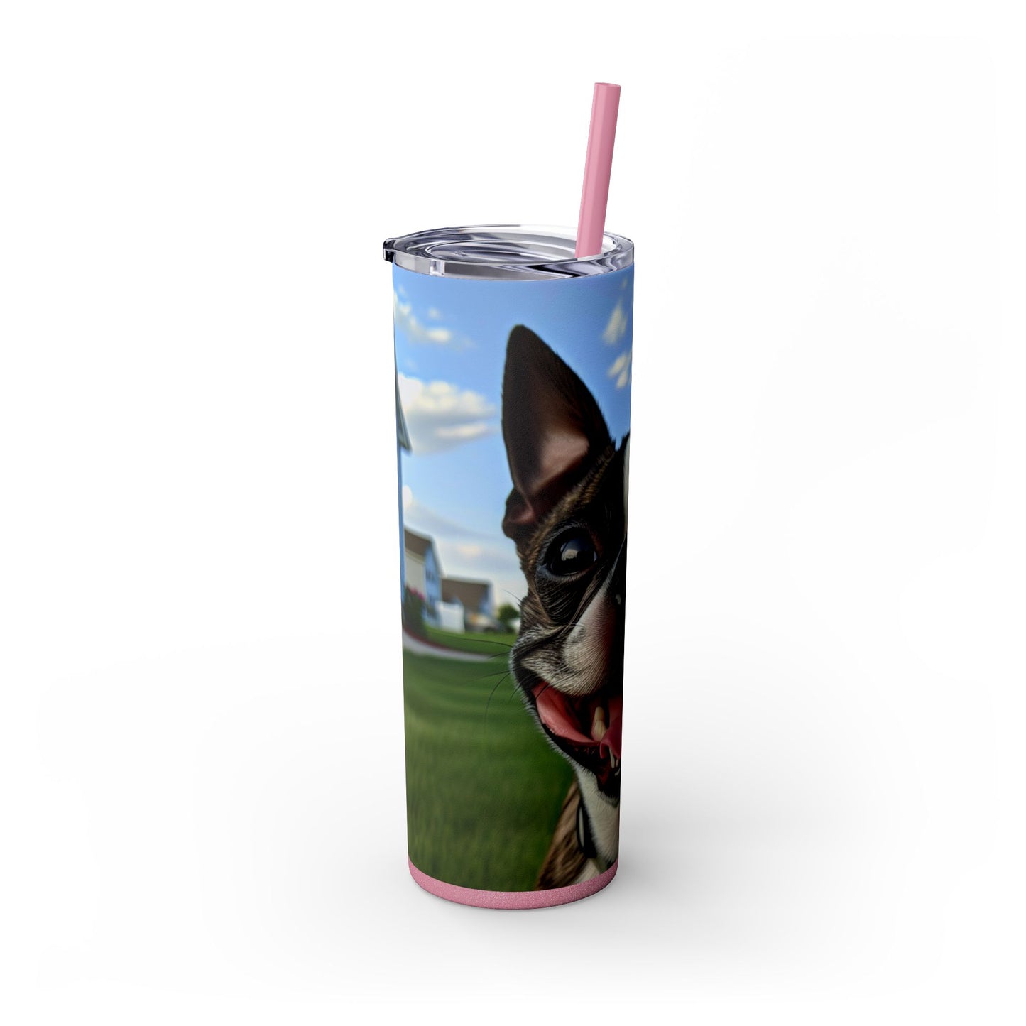 Boston Terrier Tumbler with Straw, 20oz