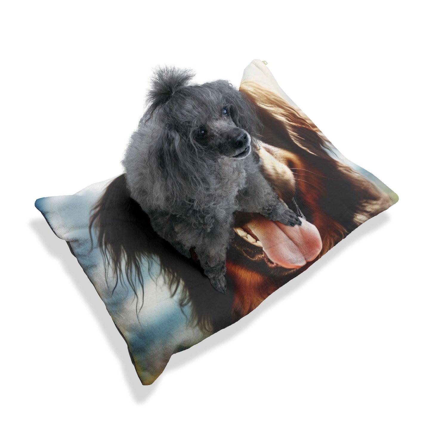 Hovawart Pet Bed