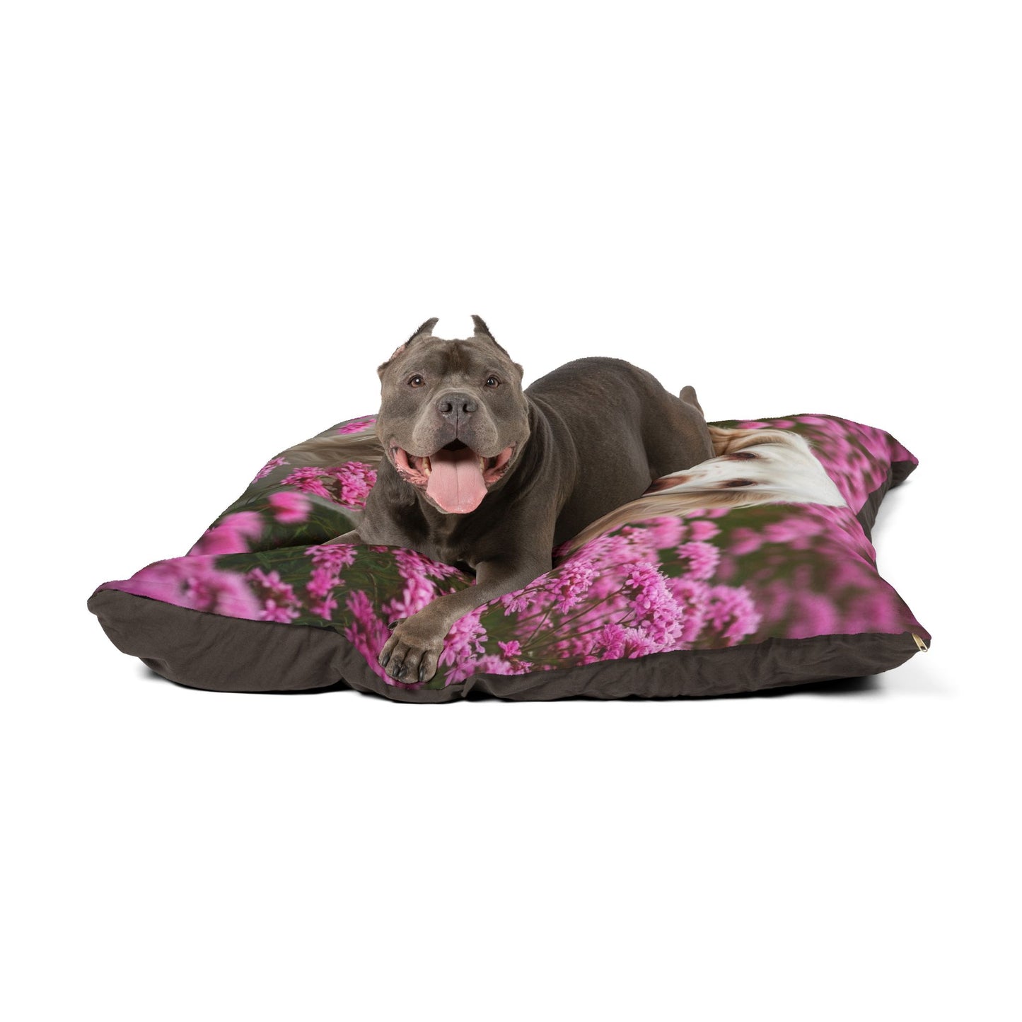 Clumber Spaniel Pet Bed