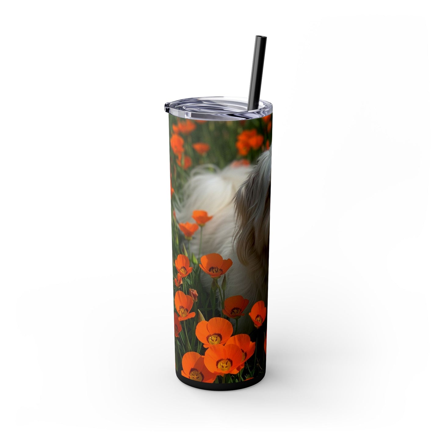 Havanese Tumbler with Straw, 20oz