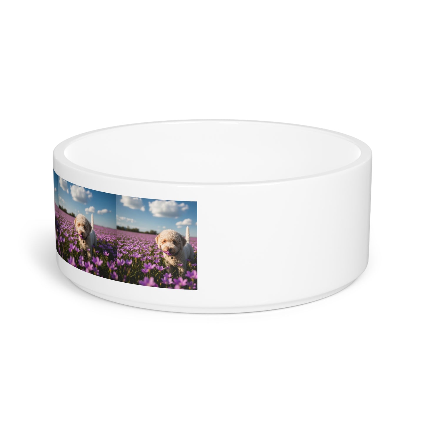 Lagotto Romagnolo Pet Bowl