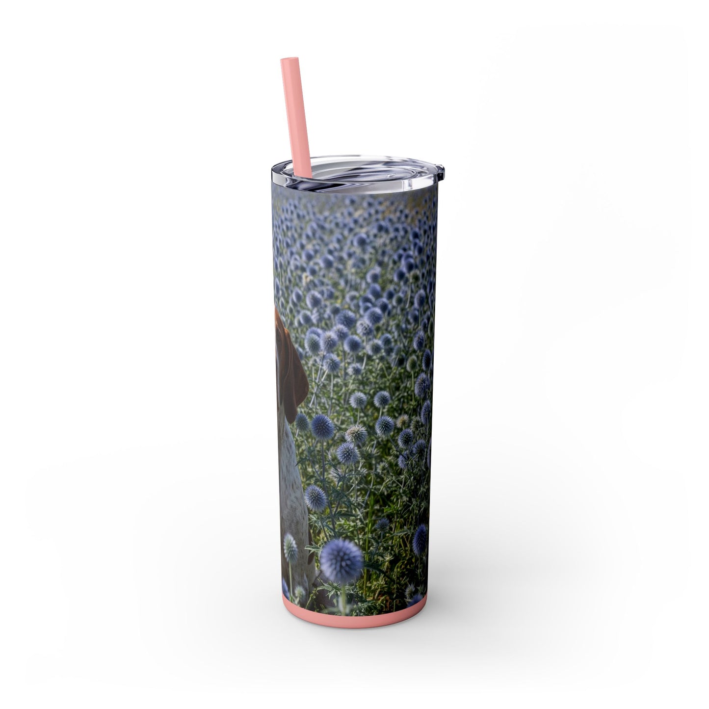 Braque Francais Pyrenean Tumbler with Straw, 20oz