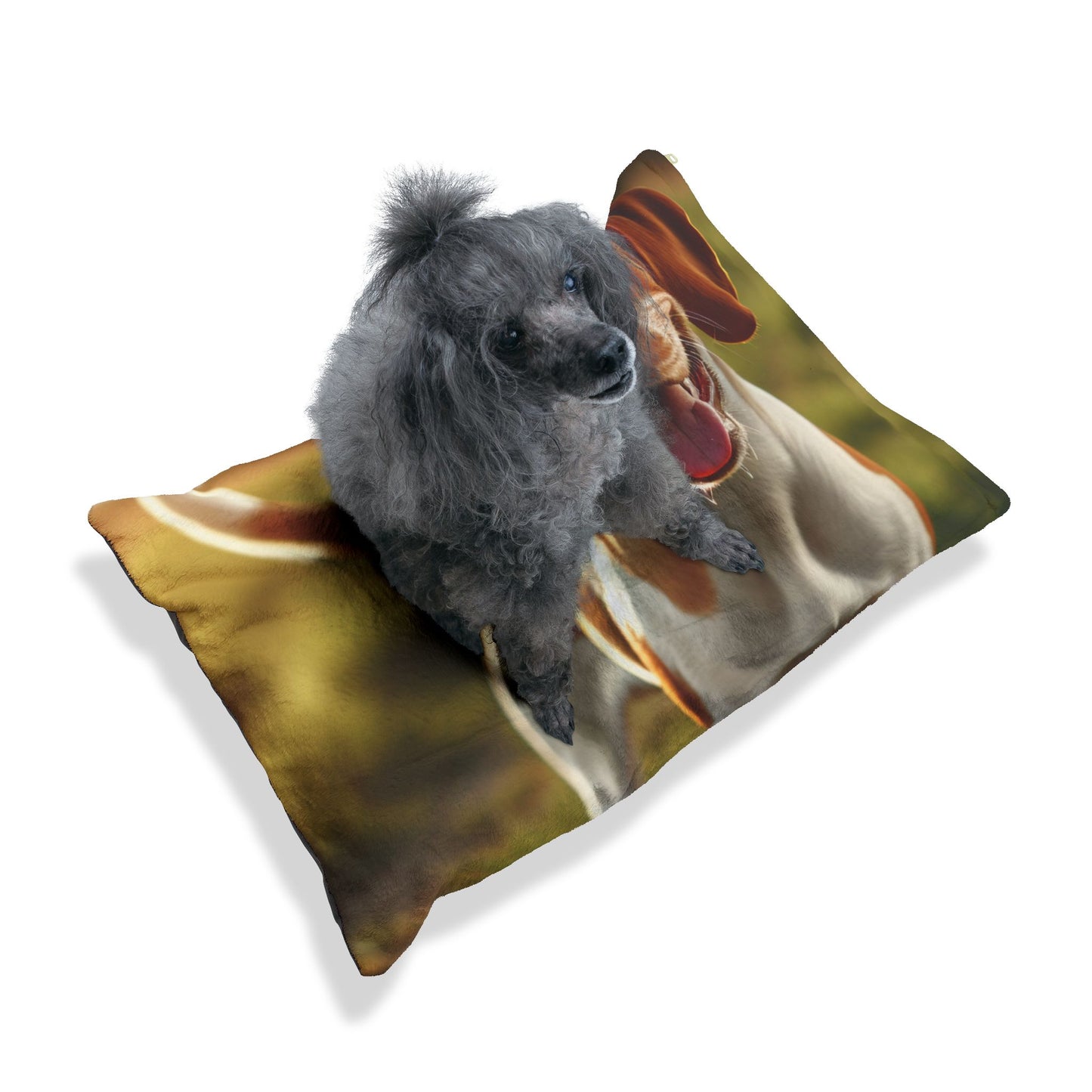 Bracco Italiano Pet Bed