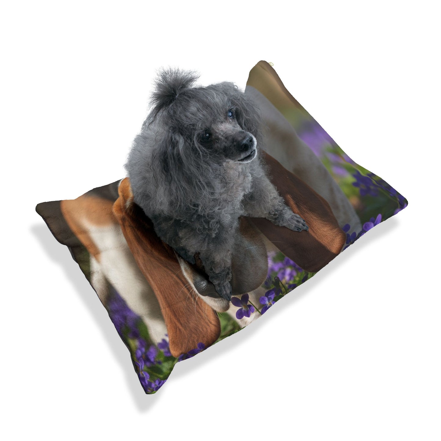 Grand Basset Griffon Vendeen Pet Bed