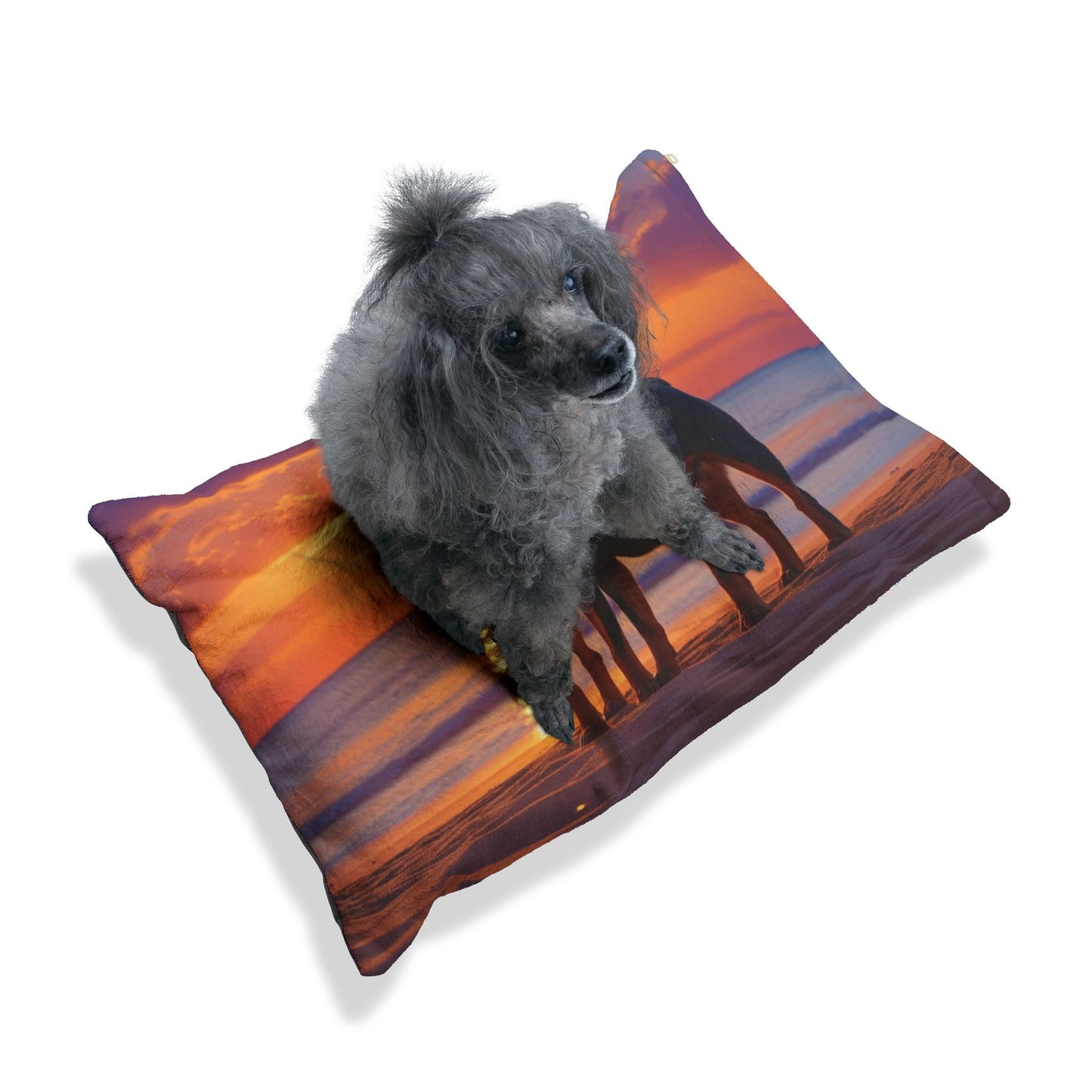 Rottweiler Love Pet Bed