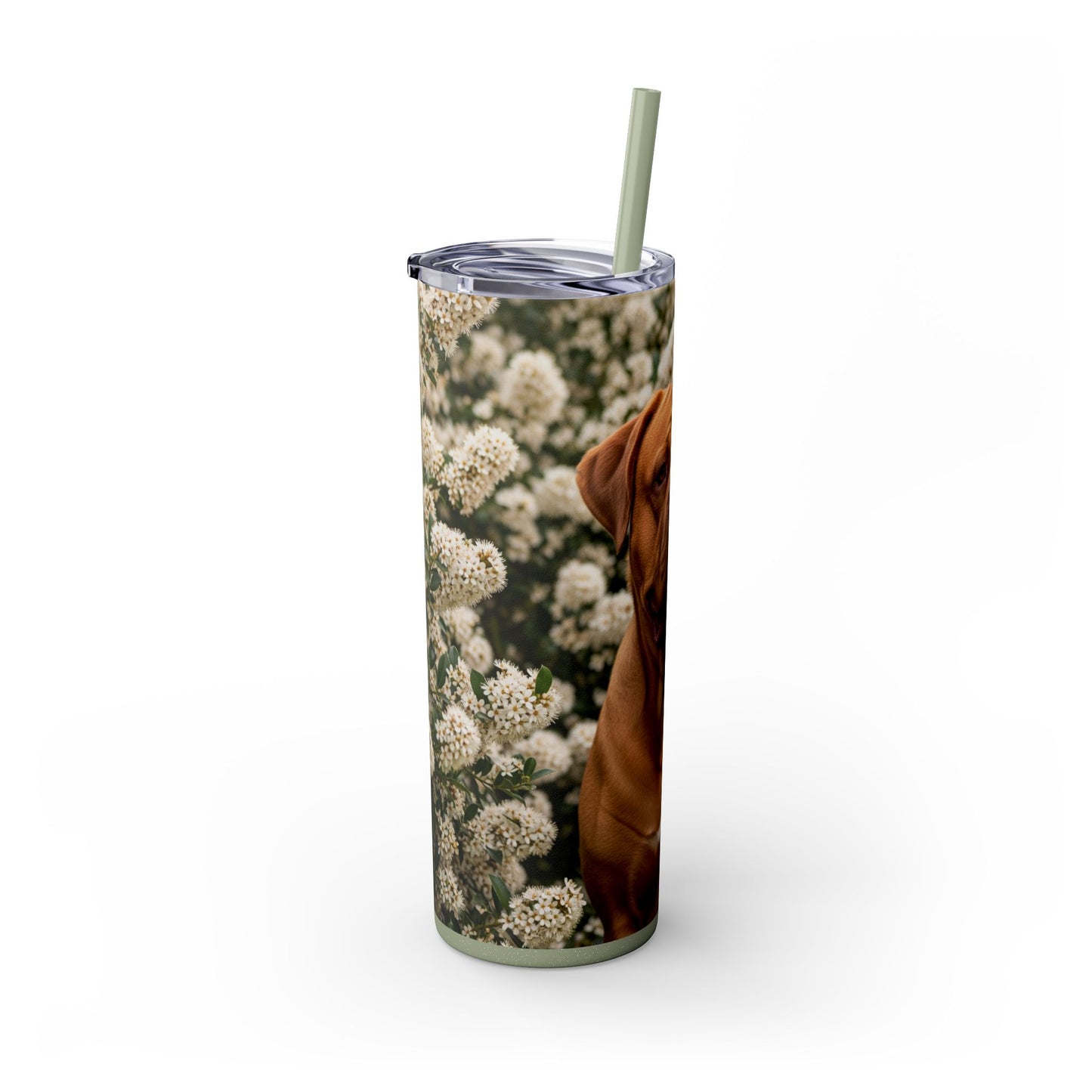Dogue de Bordeaux Skinny Tumbler with Straw, 20oz