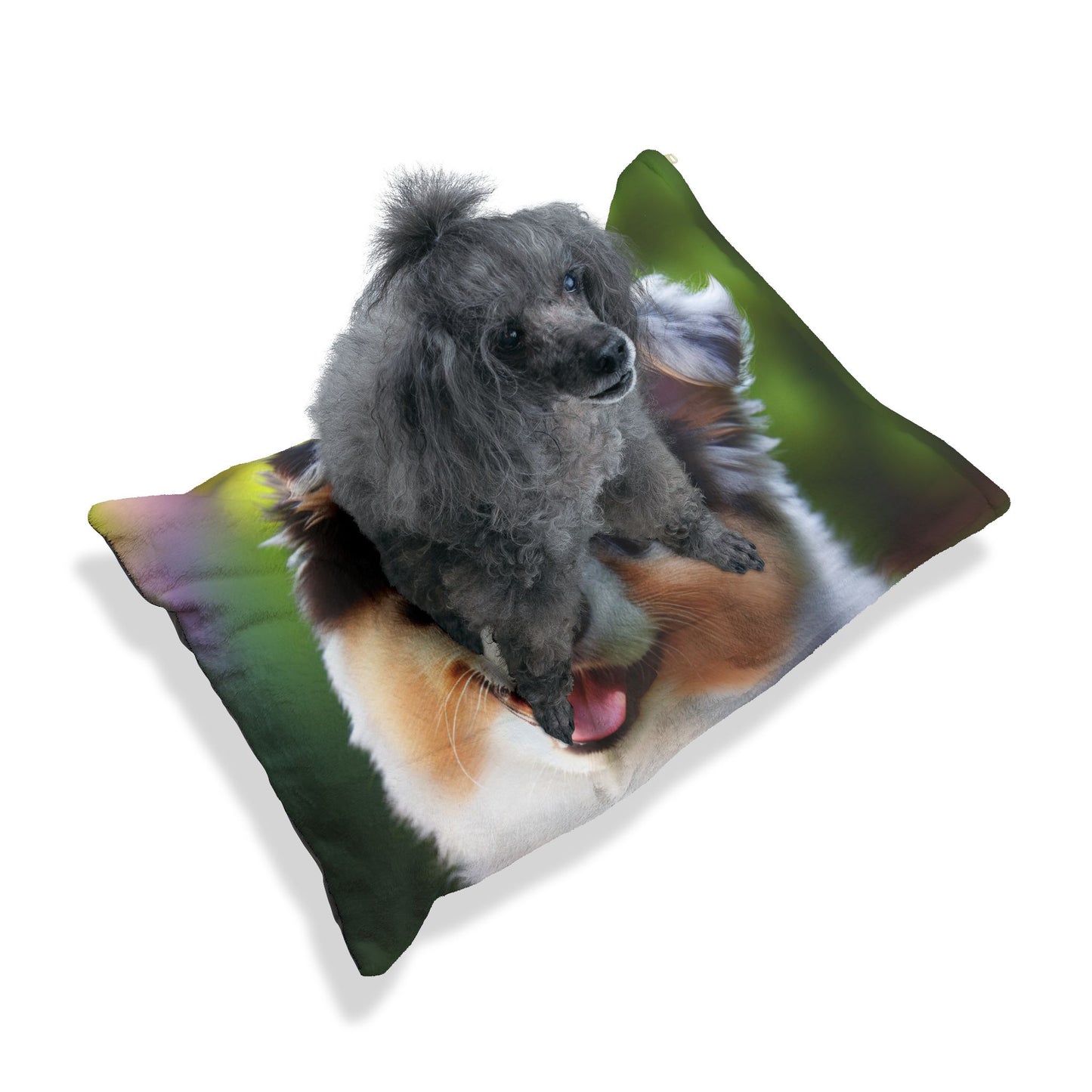Mini Aussie Pet Bed