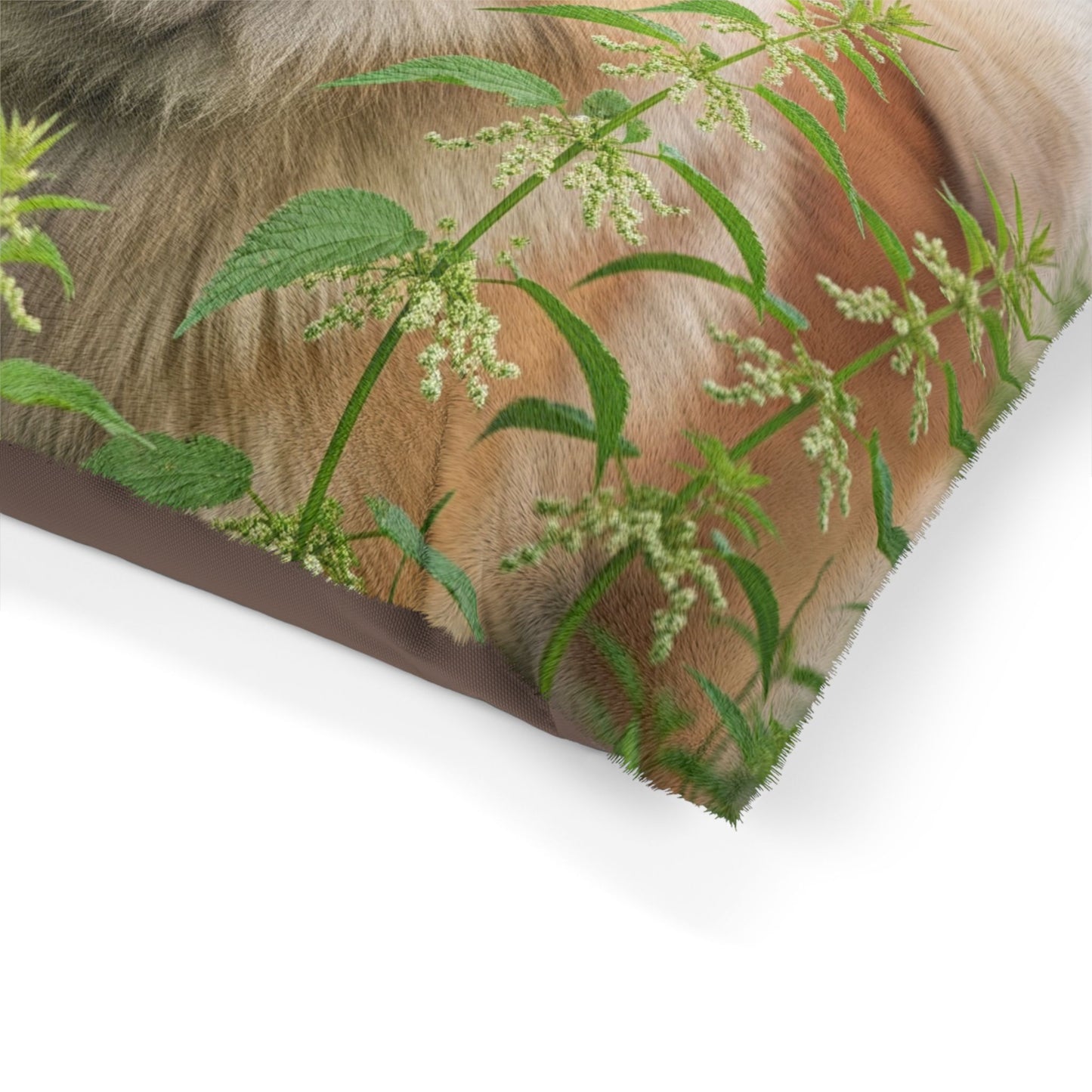 Eurasier Pet Bed