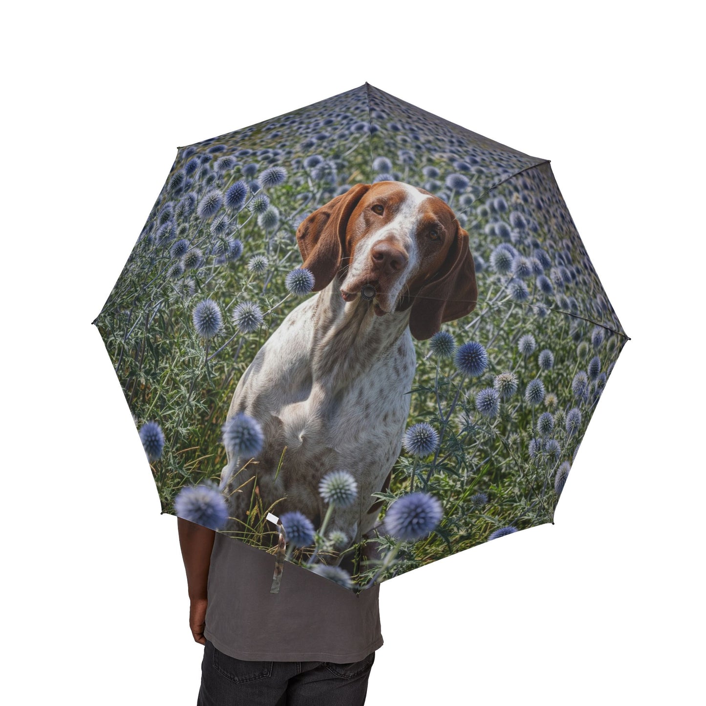 Braque Francais Pyrenean Semi-Automatic Foldable Umbrella