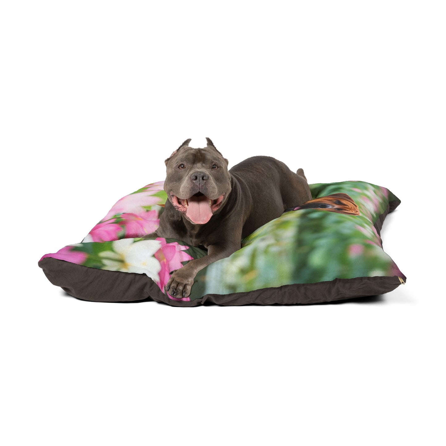 Tosa Pet Bed