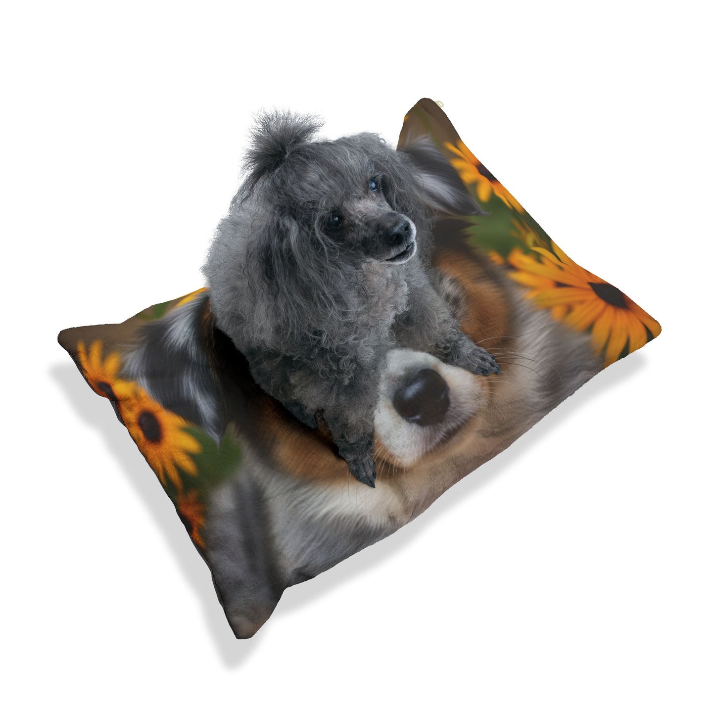 Miniature American Shepherd Pet Bed