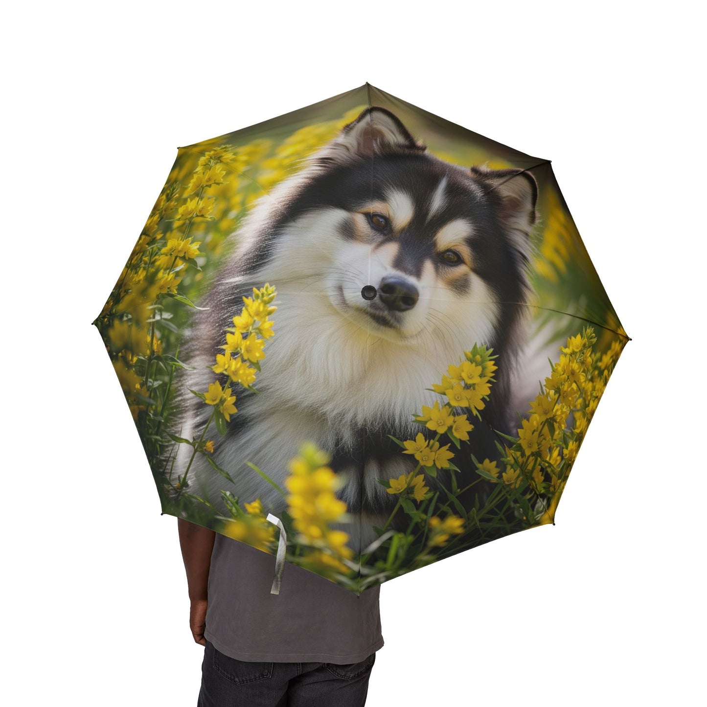 Swedish Lapphund Semi-Automatic Foldable Umbrella