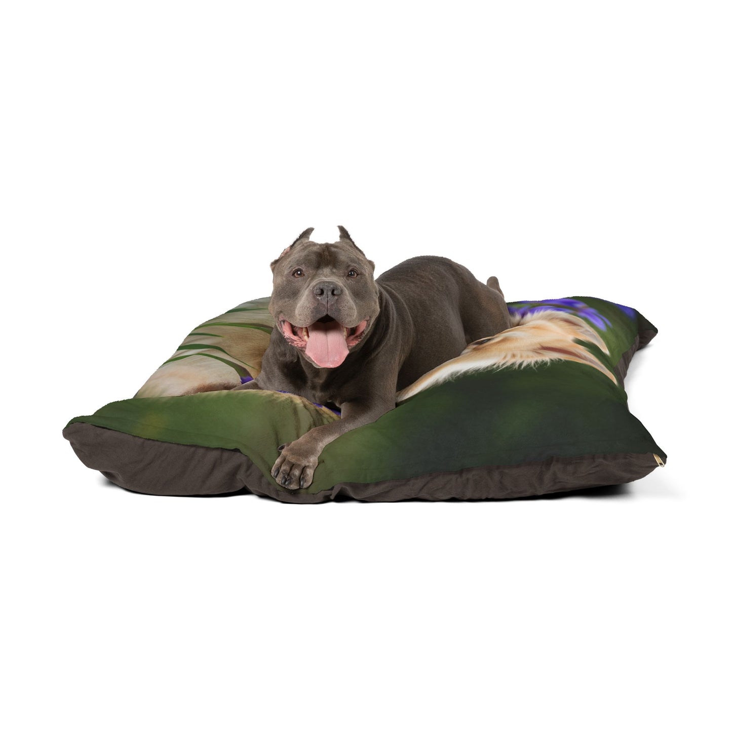 Pomsky Pet Bed