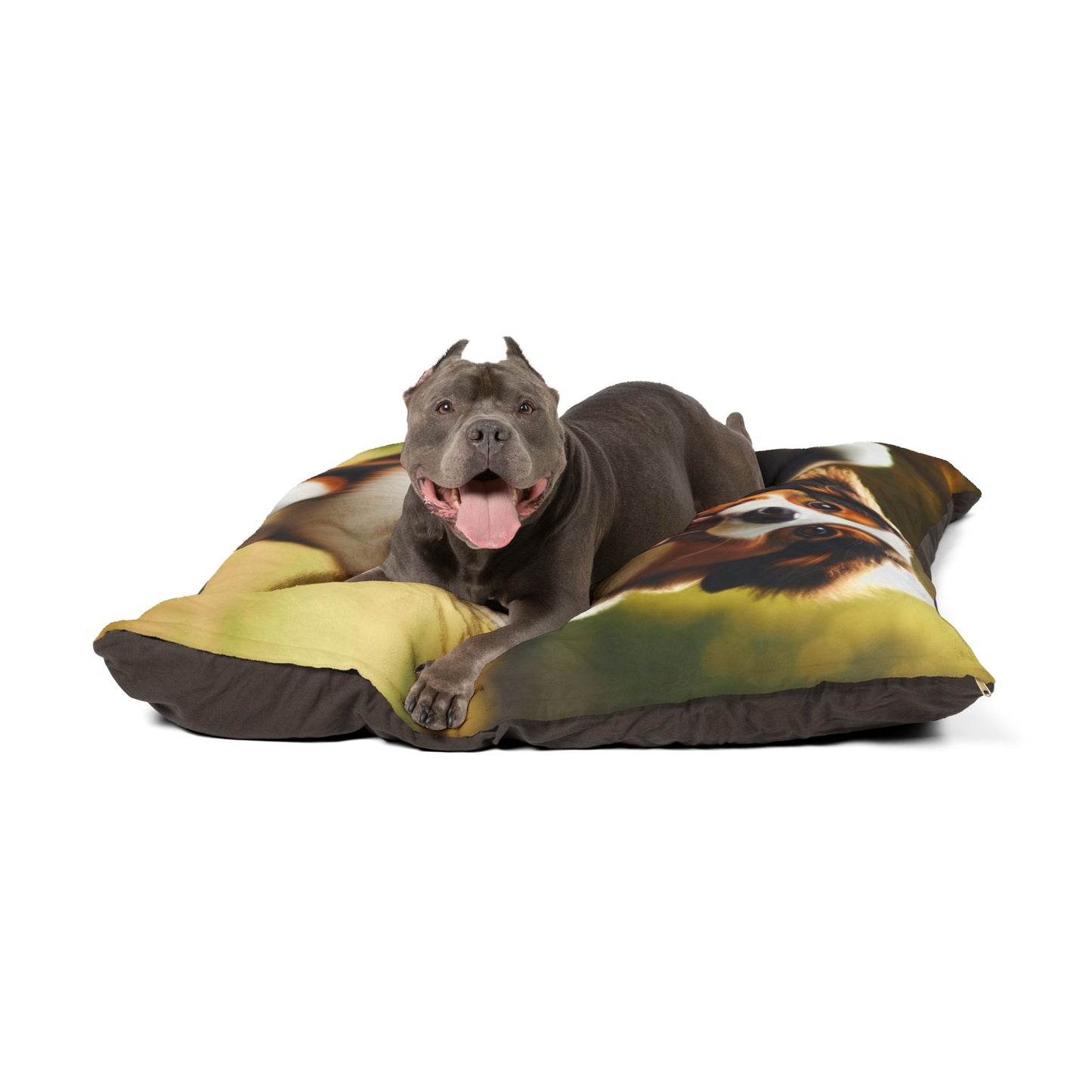 Miniature American Shepherd Pet Bed