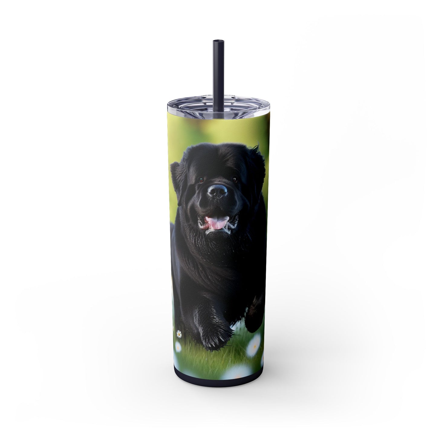 Newfoundland Skinny Tumbler with Straw, 20oz