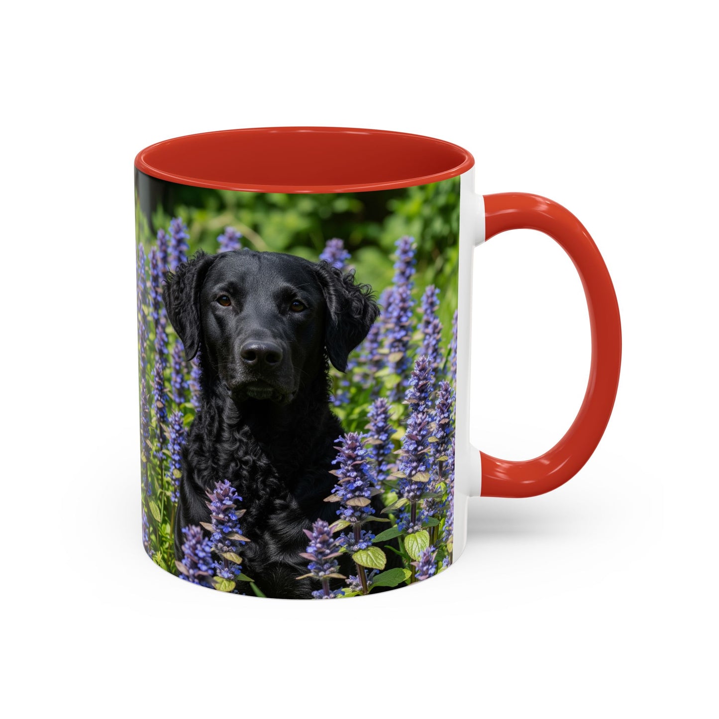 Curly Coated Retriever Accent Coffee Mug - Perfect Gift for Dog Lovers