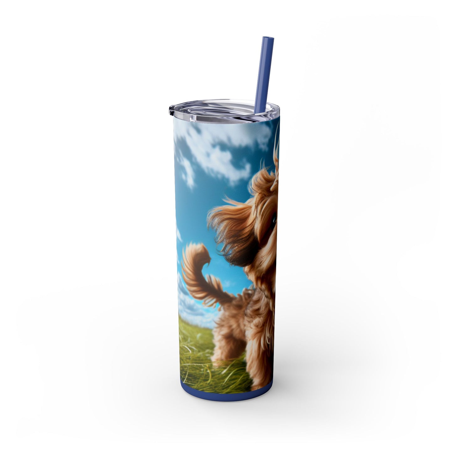 Kaikadi Tumbler with Straw, 20oz