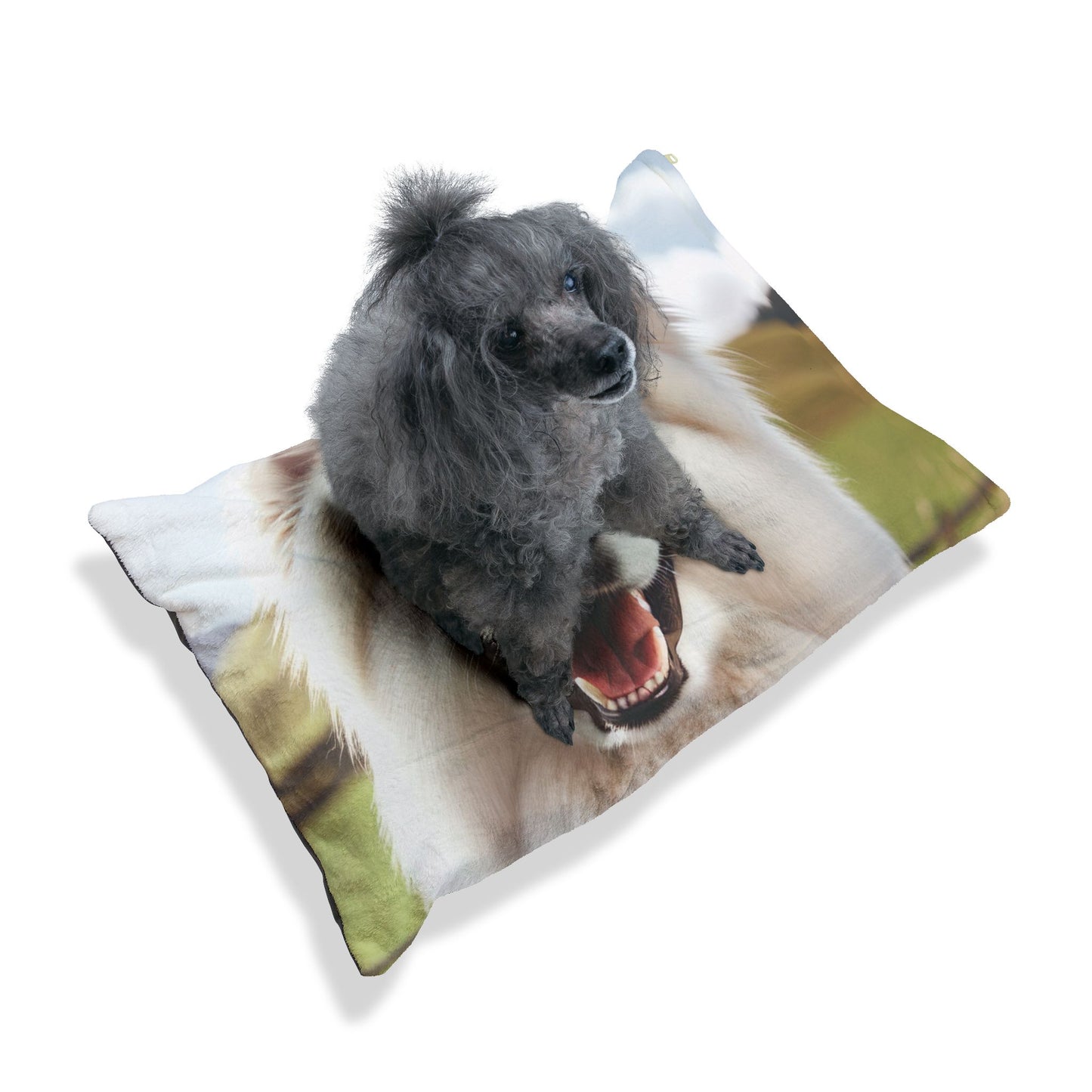 White Swiss Shepherd Dog Pet Bed