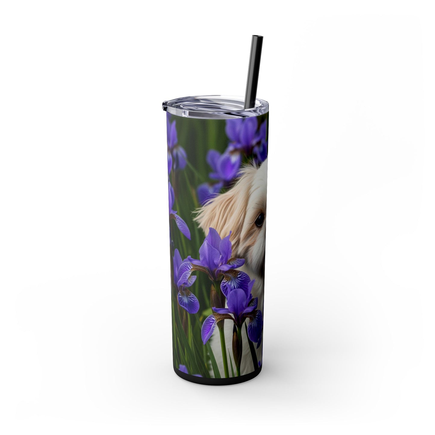 Shihchon Tumbler with Straw, 20oz
