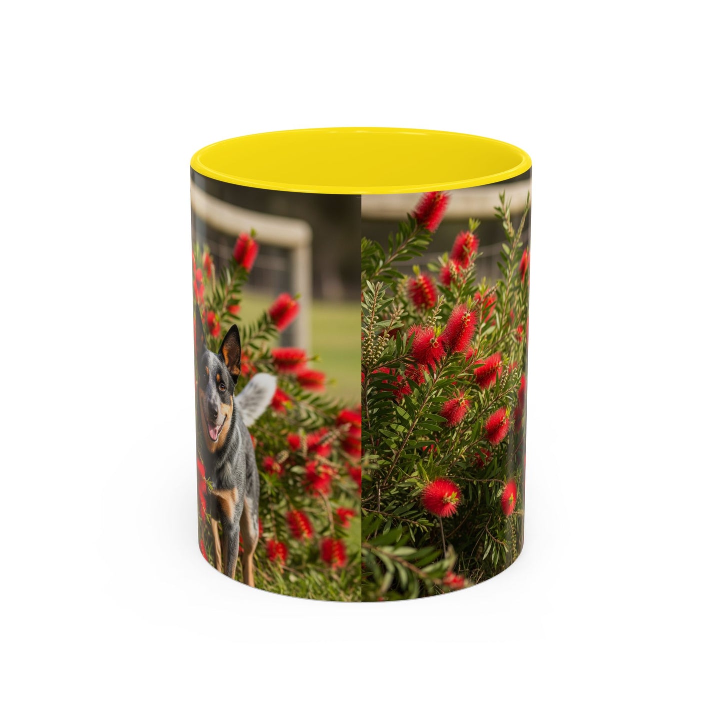 Australian Cattle Dog Accent Coffee Mug - Perfect Gift for Dog Lovers