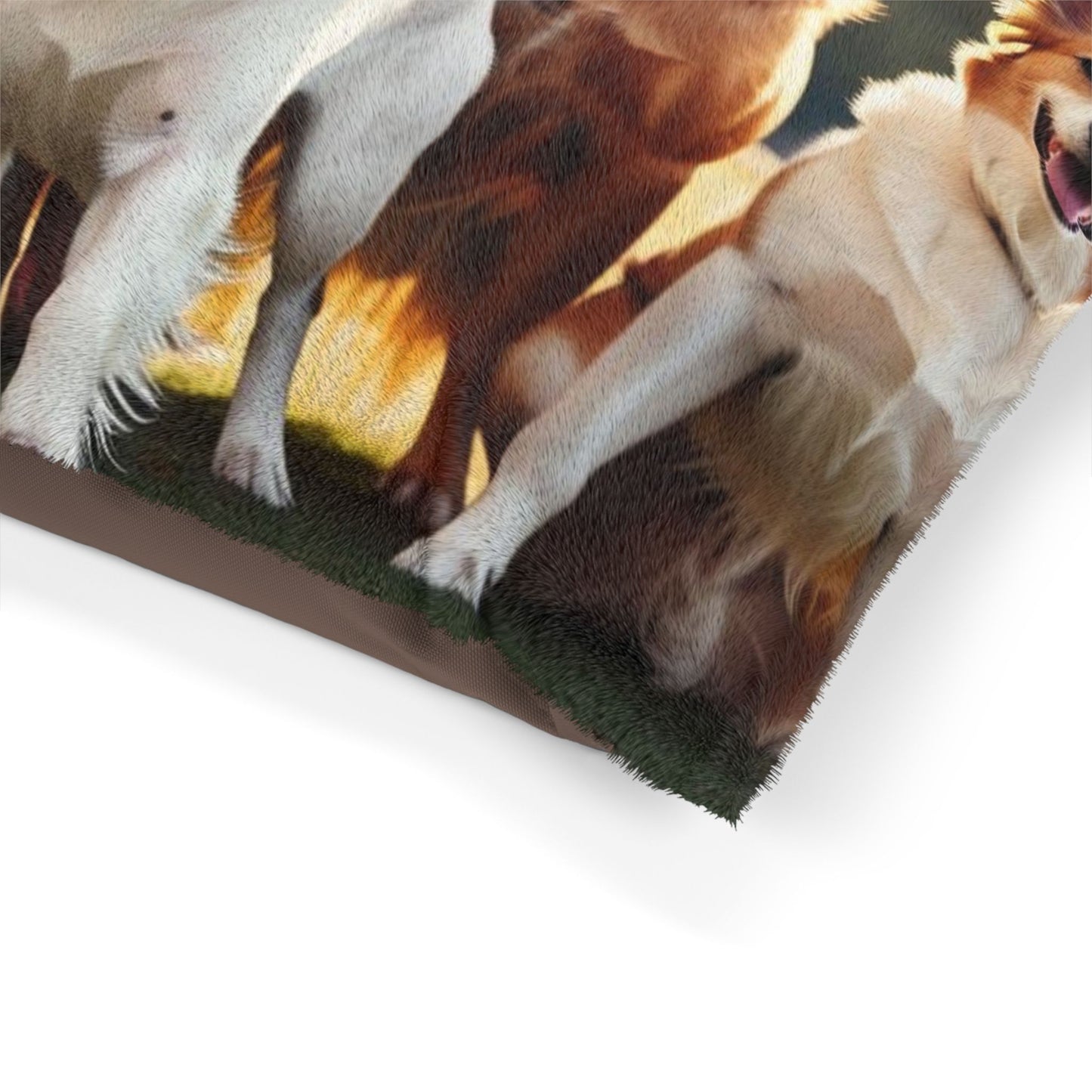 Class of Dogs Pet Bed