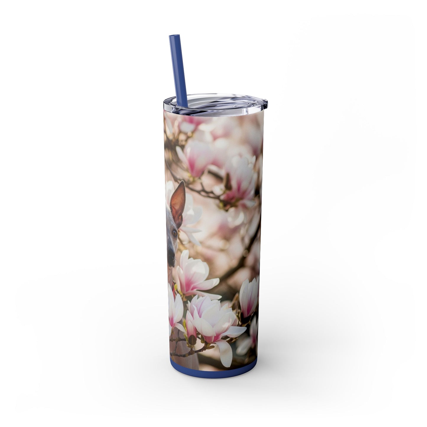 American Hairless Terrier Skinny Tumbler with Straw, 20oz