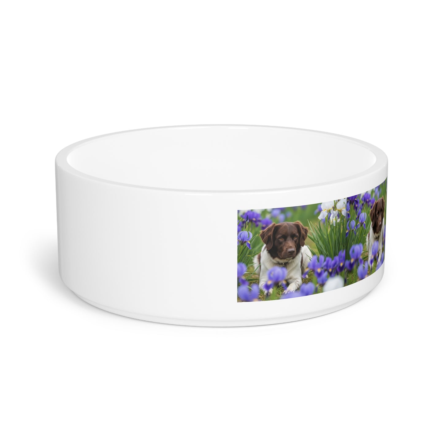 Stabyhouns Pet Bowl