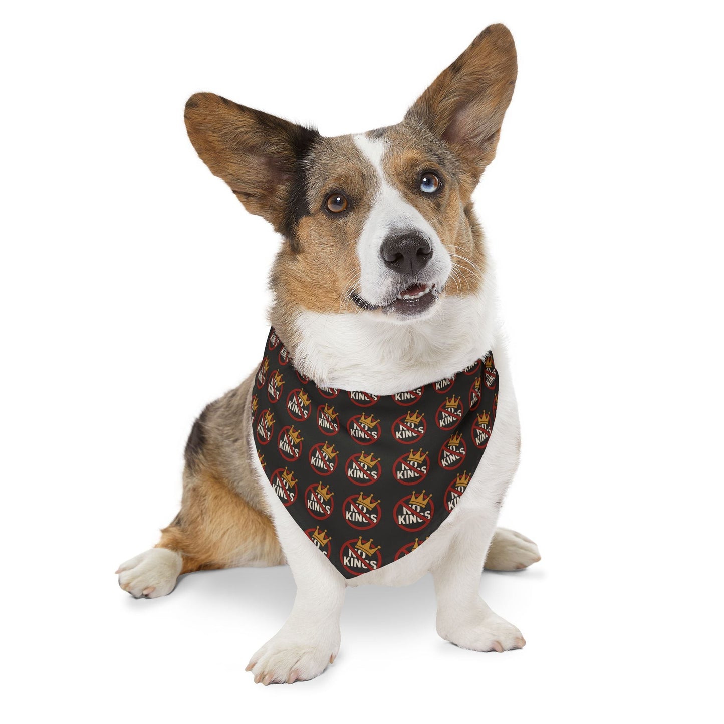 Bandana et collier No Kings
