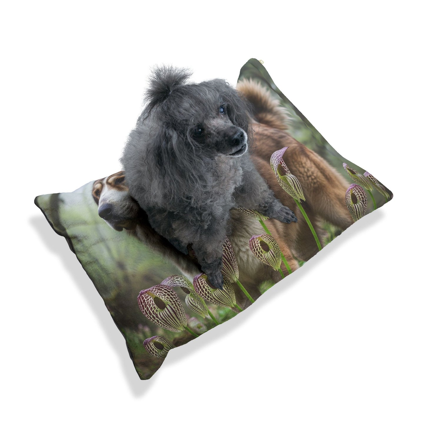 Bakharwal Pet Bed