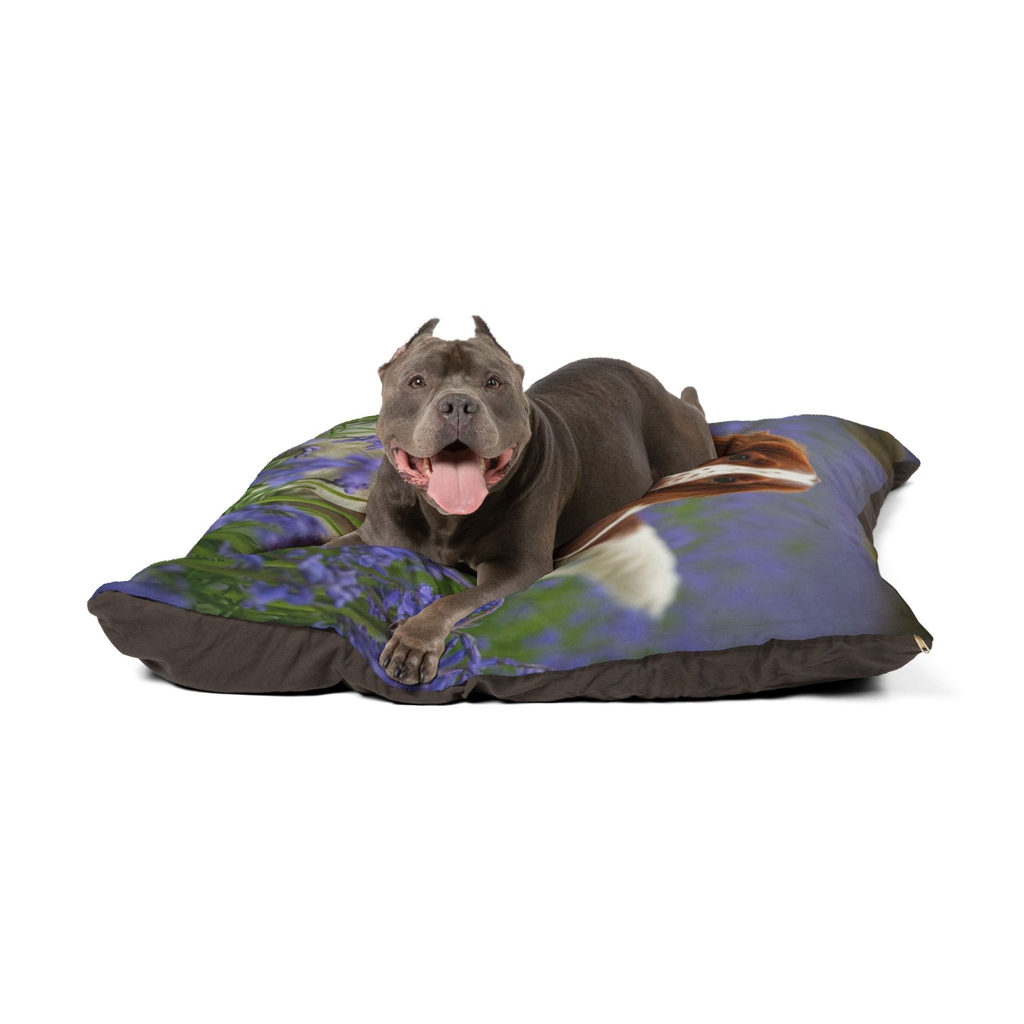 Welsh Springer Spaniel Pet Bed