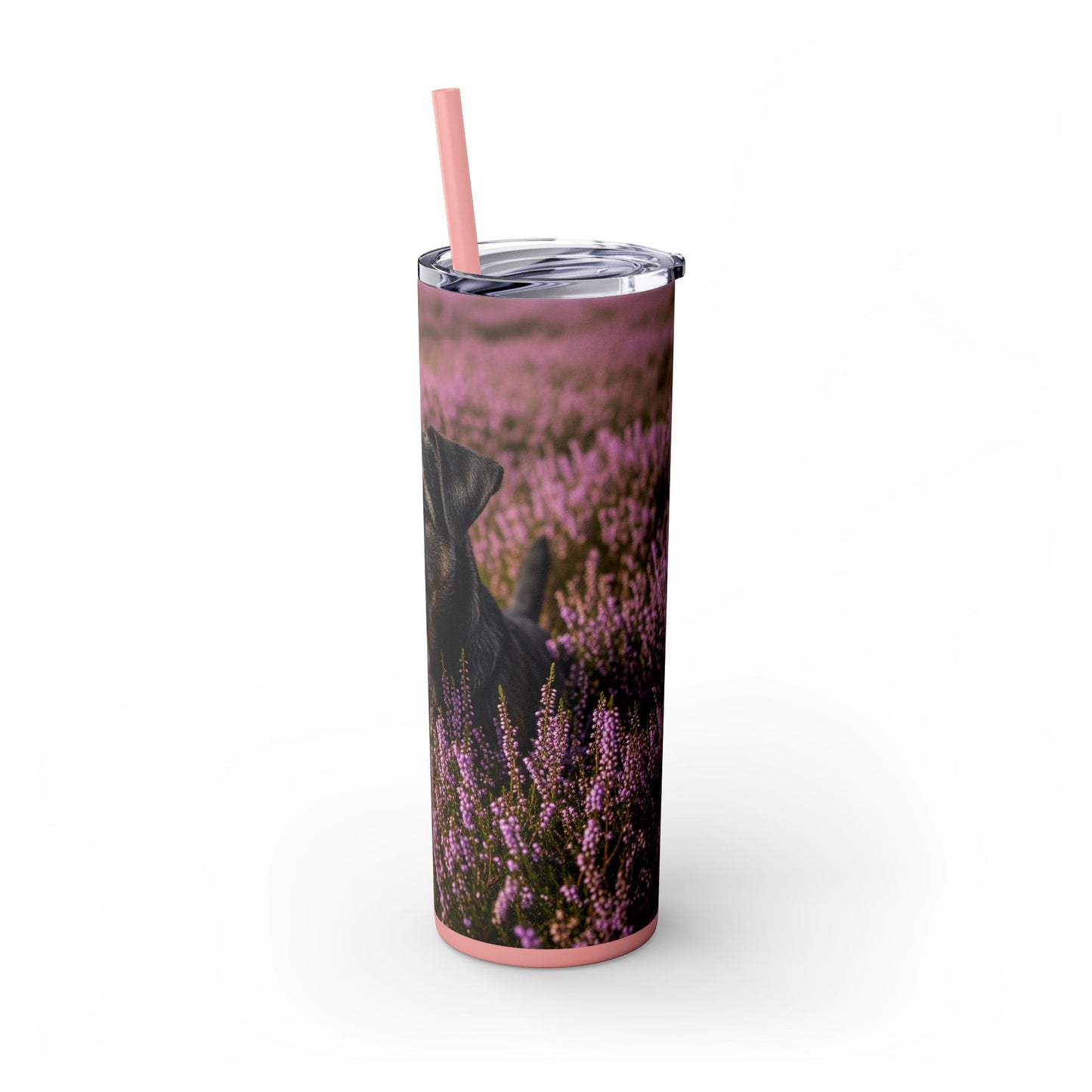 Glen of Imaal Terrier Skinny Tumbler with Straw, 20oz
