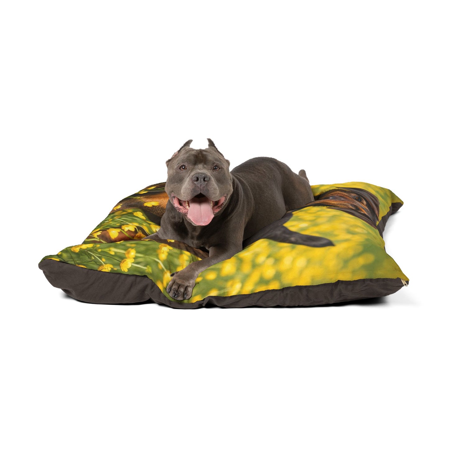 Drever Pet Bed