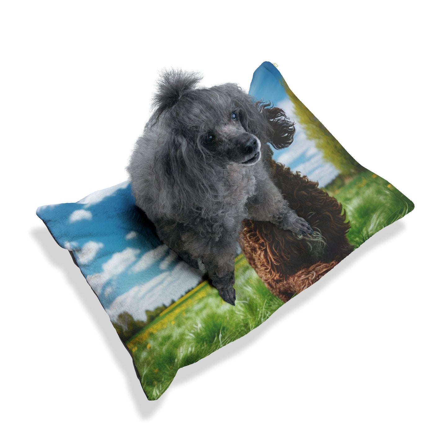 Wetterhoun Pet Bed
